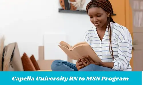Capella University RN to MSN Program