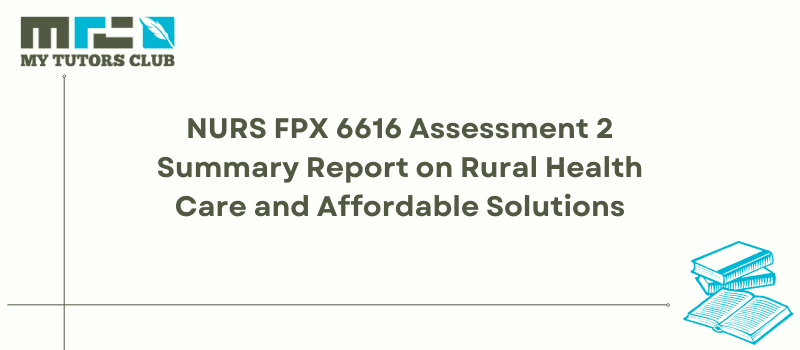 NURS FPX 6616 Assessment 2