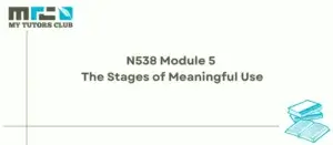 Read more about the article N538 Module 5 The Stages of Meaningful Use