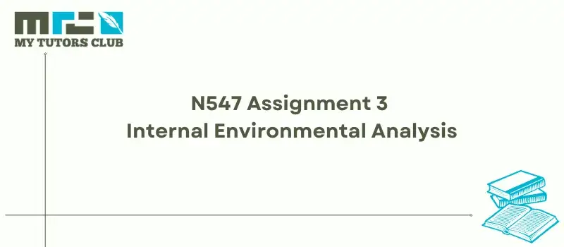 You are currently viewing N547 Assignment 3 Internal Environmental Analysis