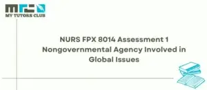 Read more about the article NURS FPX 8014 Assessment 1 Nongovernmental Agency Involved in Global Issues