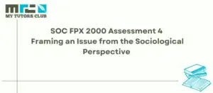 Read more about the article SOC FPX 2000 Assessment 4 Framing an Issue from the Sociological Perspective