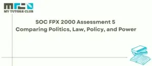 Read more about the article SOC FPX 2000 Assessment 5 Comparing Politics, Law, Policy, and Power